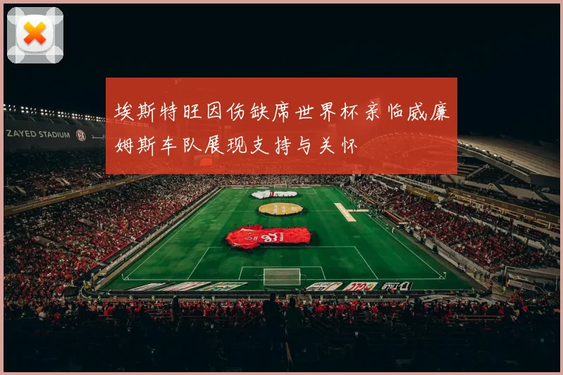 埃斯特旺因伤缺席世界杯亲临威廉姆斯车队展现支持与关怀